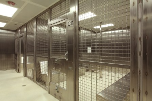 detention glazing